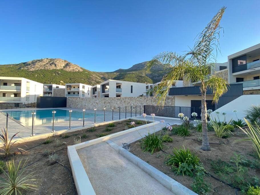 Exceptionnelle Vue Mer Calvi - Piscine - T2 Calvi (Corsica) Exterior foto